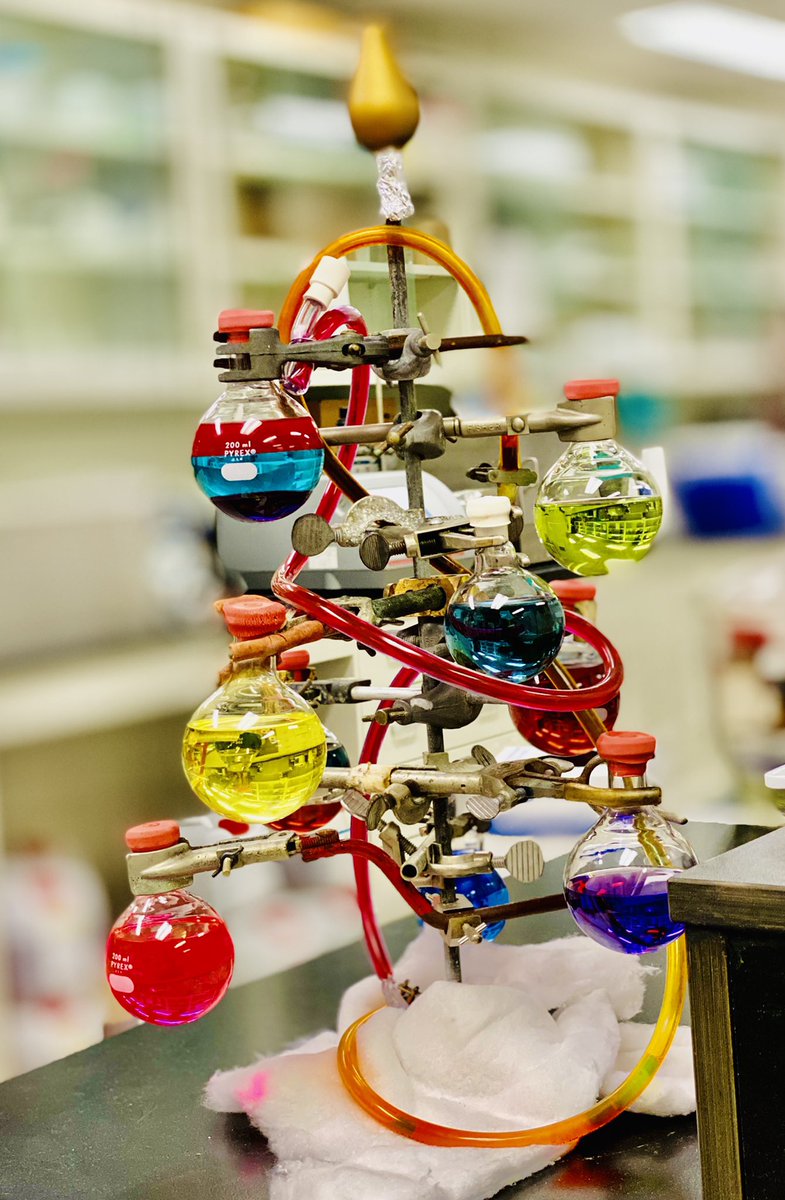 Vijay Jayswal (@chai_miste) on Twitter photo Chemist’s #ChristmasTree or as they call it #ChemisTree synthesised by #MorinLab!
<a href="/jfchimie/">Jean-François Morin</a> <a href="/ChimieUL/">ULaval Chemistry Department</a> <a href="/universitelaval/">Université Laval</a> #HappyHolidays #gradschool #phdlife #chemtwitter #chemistry Chemist’s #ChristmasTree or as they call it #ChemisTree synthesised by #MorinLab!
<a href="/jfchimie/">Jean-François Morin</a> <a href="/ChimieUL/">ULaval Chemistry Department</a> <a href="/universitelaval/">Université Laval</a> #HappyHolidays #gradschool #phdlife #chemtwitter #chemistry