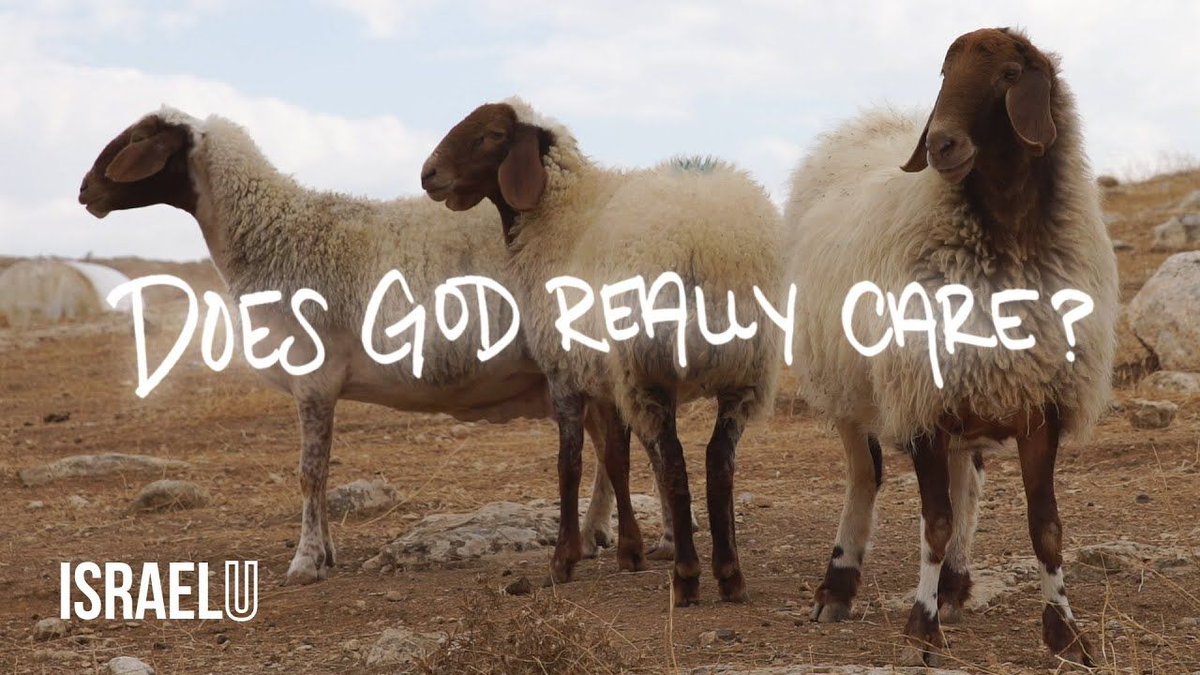 FIRMisrael's tweet photo. Does God really care about us? 💭
Through the example of shepherds coming close to their sheep when the darkness closes in, we want to show you how God is drawing near to you right in the midst of your wilderness.
Watch Full Episode // https://t.co/einDKbe6Mv
#IsraelU https://t.co/o5rE58q0d2