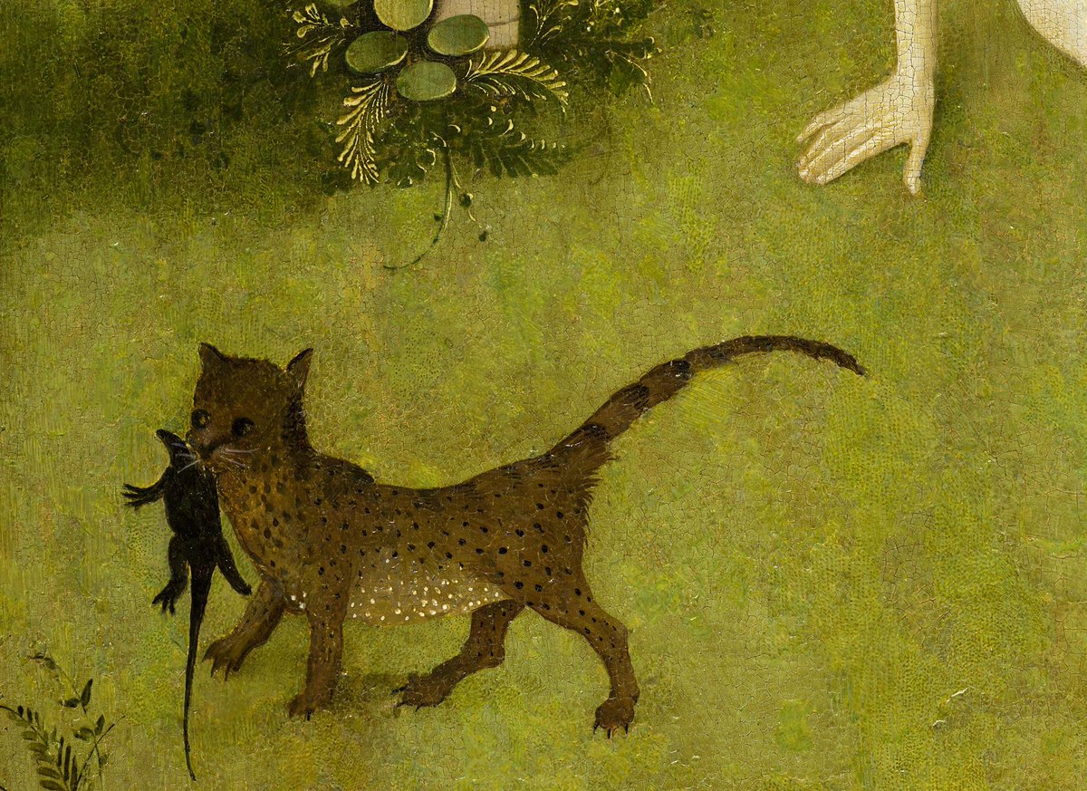 BoschBot (@boschbot) on Twitter photo 