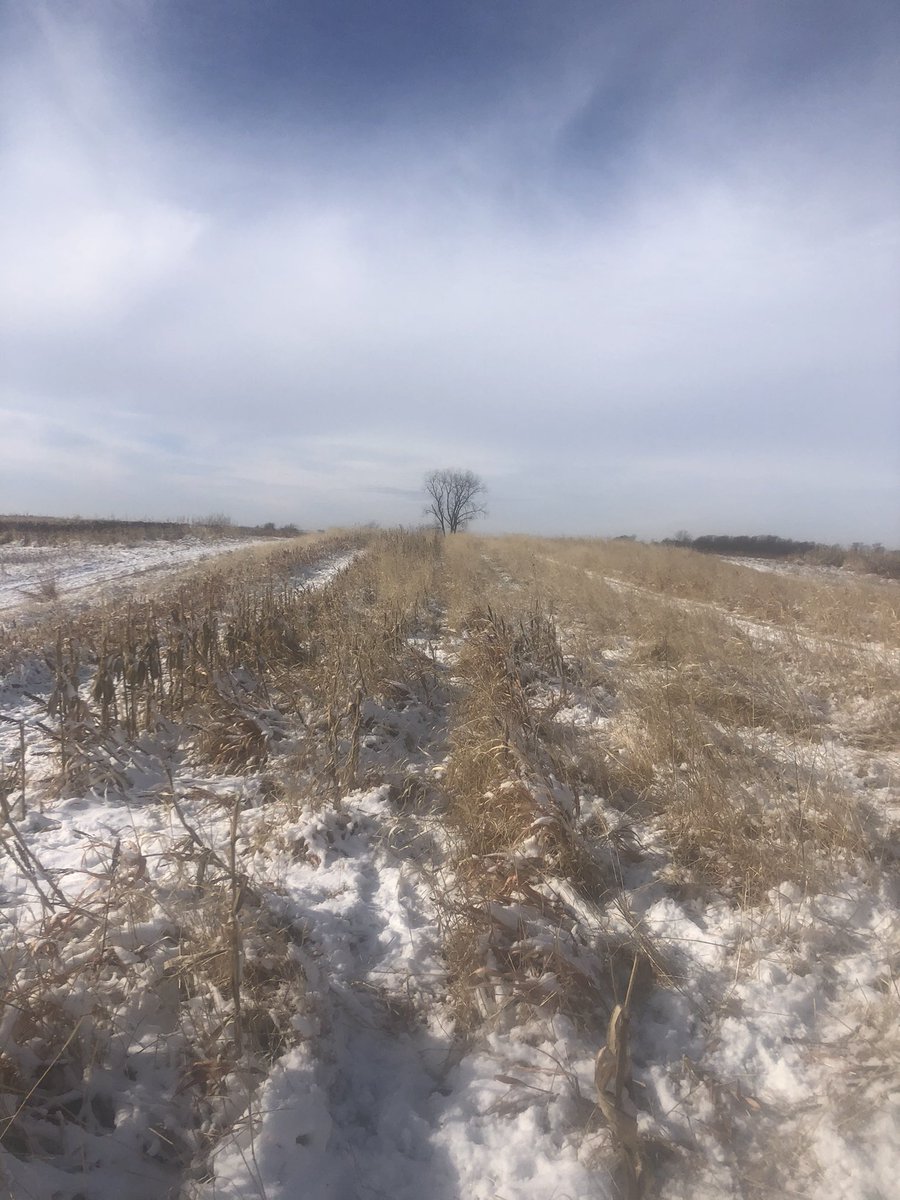 Alex Head tweet media