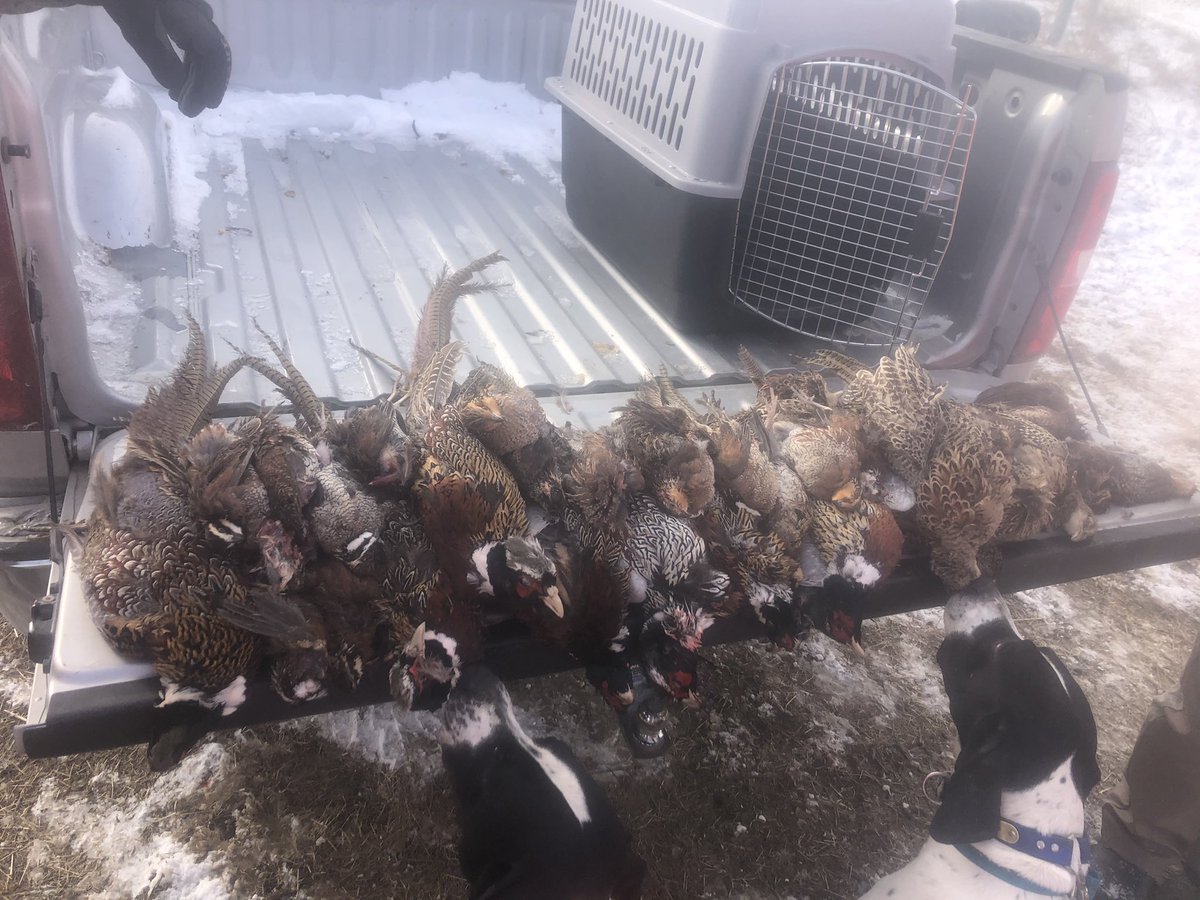 Alex Head tweet media