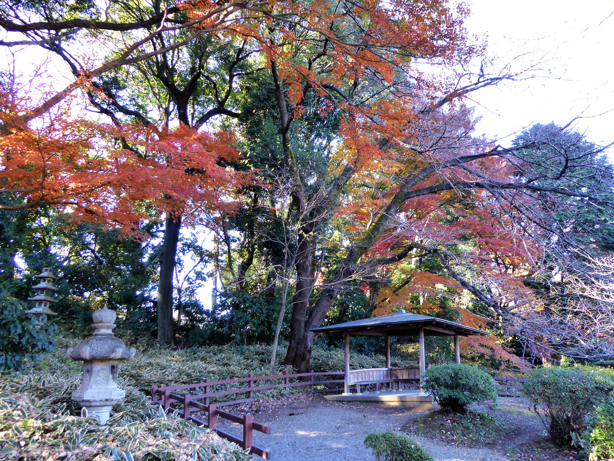 新宿御苑 サービス施設 12 16は紙の記念日 カエデにイチョウと紅葉最盛期の新宿御苑 その風景をお土産にしませんか 中央休憩所と翔天亭の売店では 御苑オリジナルのポストカードを販売しています 御苑の庭園風景を描いた和風レトロの可愛らしい