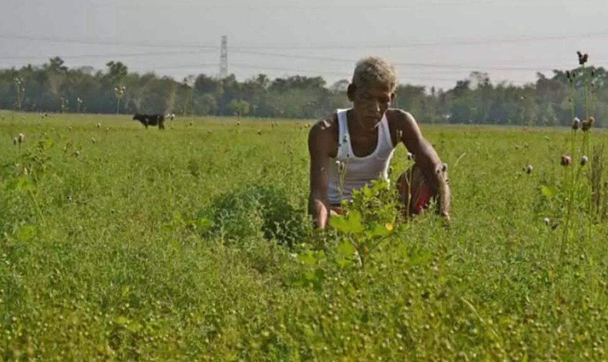 RajivKumar1's tweet photo. This 65-year-old #farmer from #Guntur leased 1 acre of land and was able to triple his income by merely adopting natural farming practices &amp; investing in indigenous additives.
#naturalfarming #ZBNF https://t.co/O1hZ6Tu6uz