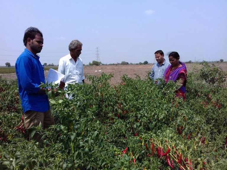 RajivKumar1's tweet photo. This 65-year-old #farmer from #Guntur leased 1 acre of land and was able to triple his income by merely adopting natural farming practices &amp; investing in indigenous additives.
#naturalfarming #ZBNF https://t.co/O1hZ6Tu6uz