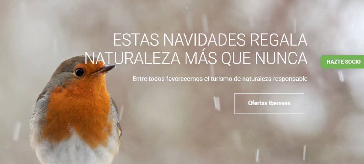 SEO_BirdLife's tweet photo. ¡Buenos y pajareros días!❄️🪶🥾
💡🏞¿Estas pensando conectar con la #naturaleza?
🧭Descubre #Iberaves
✅Profesionales #turismoornitológico
💚Comprometidos con la conservación de las #aves y la #biodiversidad
😉 Además, si eres soci@ 👉 Mira las ofertas!
https://t.co/othzE6HTUo https://t.co/tKM4IljnNU