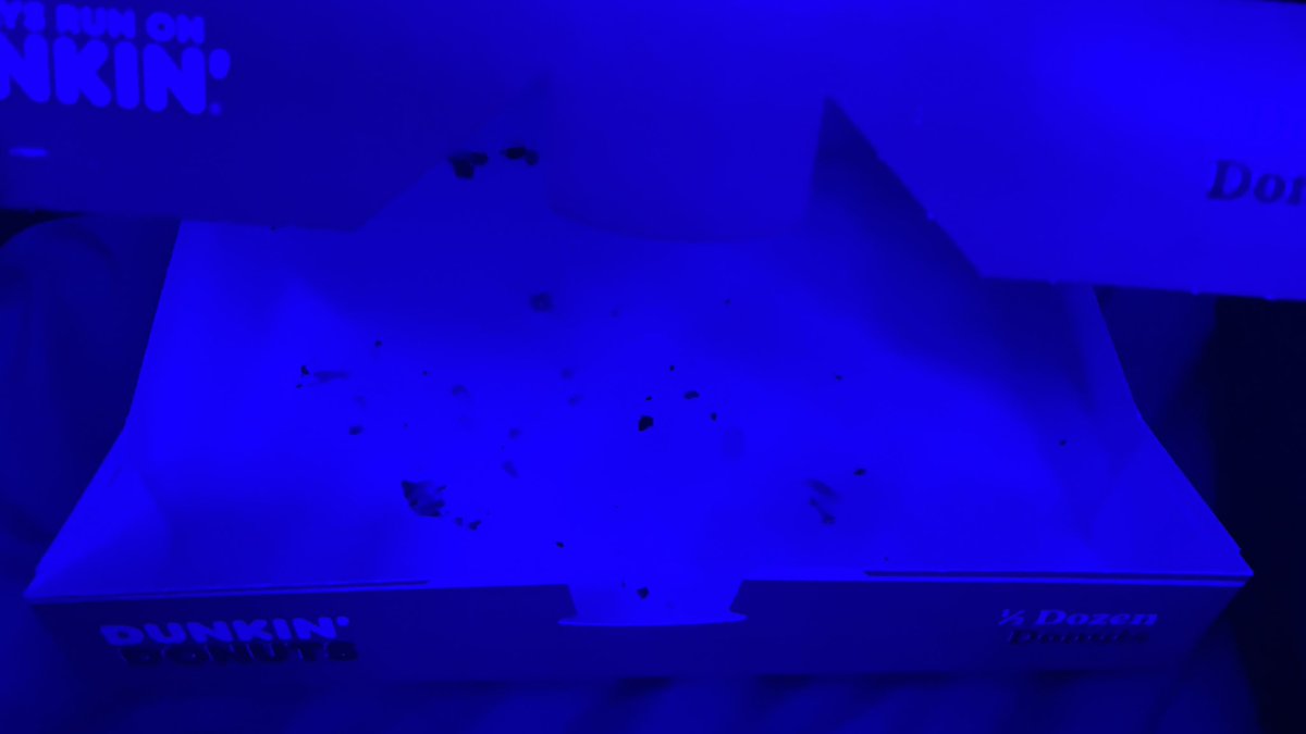 sneakyslatt's tweet image. Ma life a movi forel##slattbiz