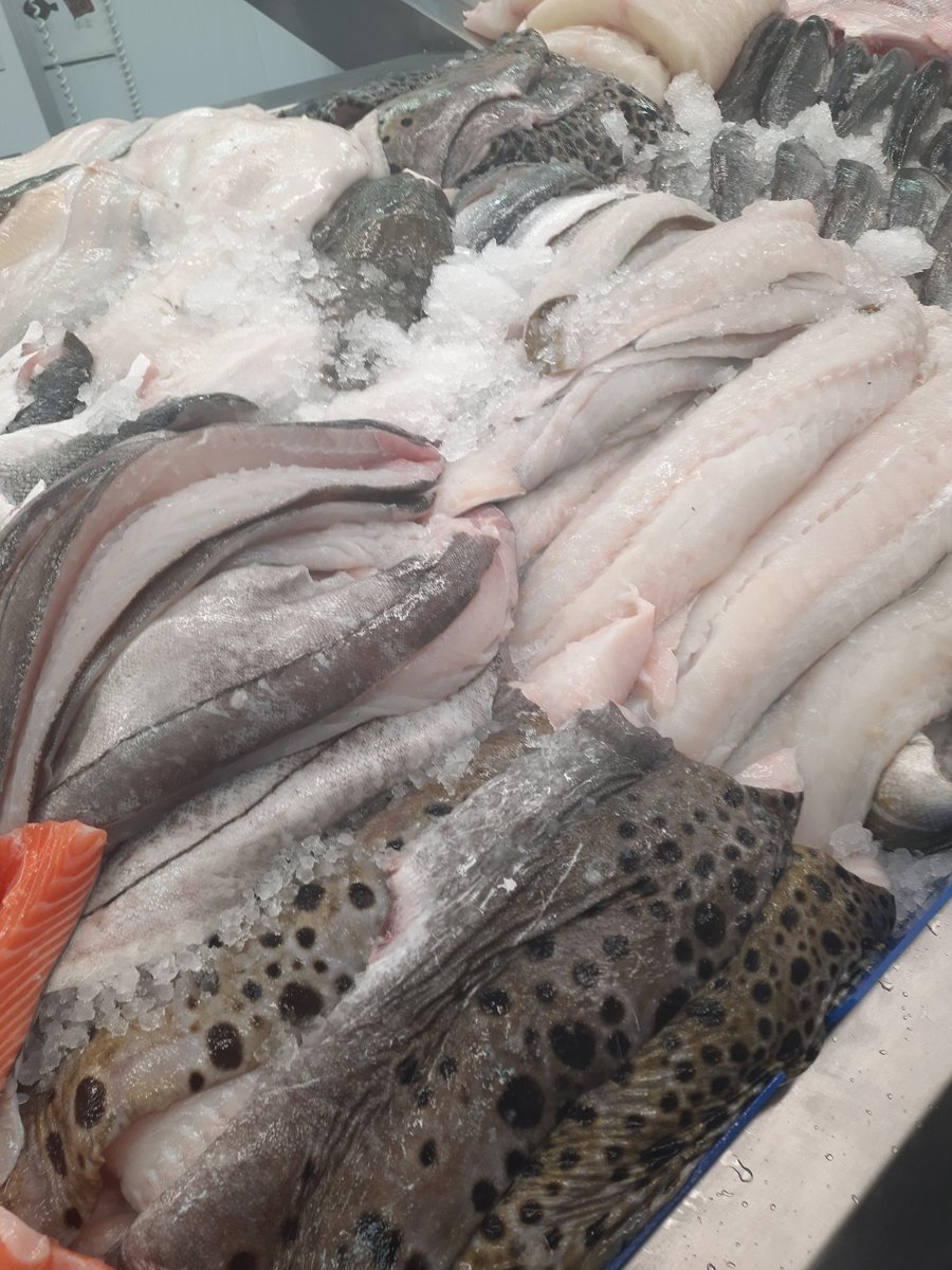 Girlyfishmonger's tweet photo. Is it worth getting up at 4.45am, to work with fab fish @Premierseafoods ? Heck yeah 😊💕🐟 https://t.co/7E3vWtQZMQ