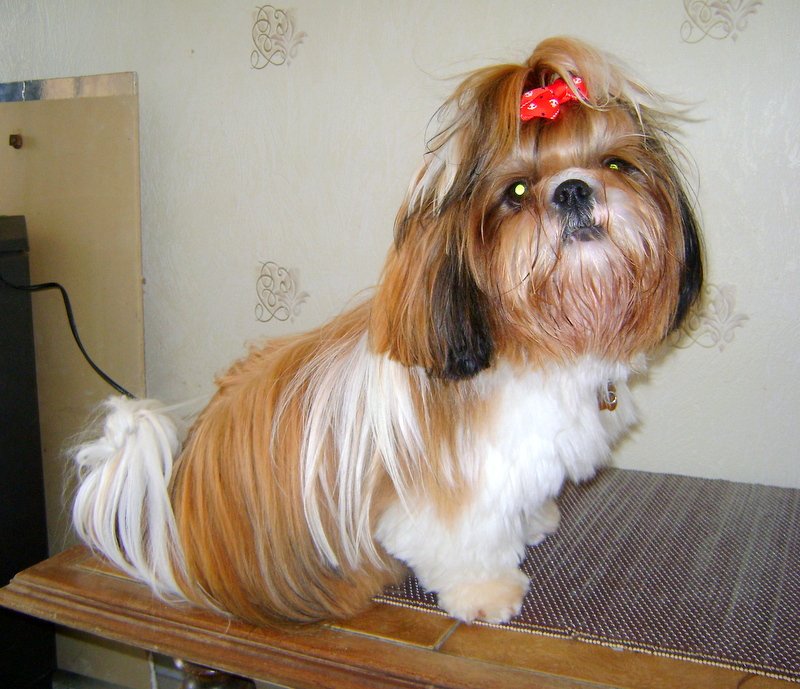 Poppy Pascale tweet media