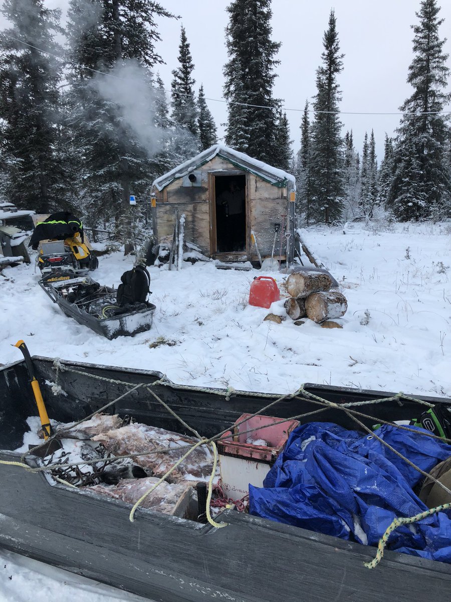 BigShowBrad's tweet photo. #Trapline pics from my days out and about.  #Cold has hit us here in the #mackenzieDelta which is good for the fur running around @SetlonoyegheeLn @Allakariallak @HowardStern @a_brauweiler @madtrapper31 @RHoman89 #Northof60Boyz https://t.co/3igtEVFZN0