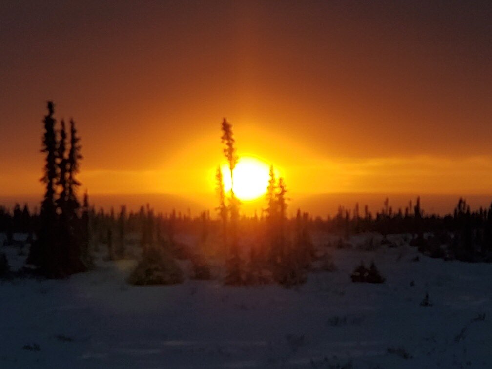 BigShowBrad's tweet photo. #Trapline pics from my days out and about.  #Cold has hit us here in the #mackenzieDelta which is good for the fur running around @SetlonoyegheeLn @Allakariallak @HowardStern @a_brauweiler @madtrapper31 @RHoman89 #Northof60Boyz https://t.co/3igtEVFZN0