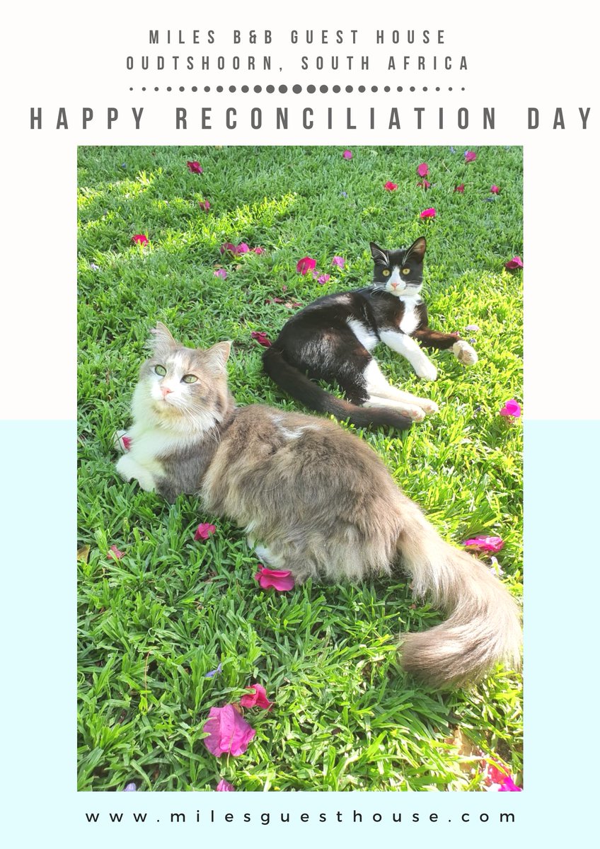 Miles B\u0026B Guest House (@guest_miles 