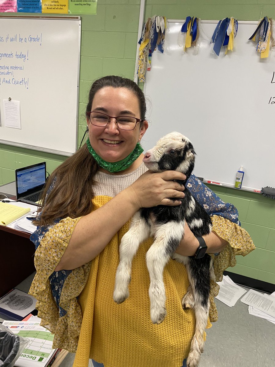 PineViewMiddle's tweet photo. Only @PineViewMiddle can our mySO students and staff share #joy of our newest โkidโ on campus born this am. #ffalife #goatlife #ag #lightupdecember @mhetzlernettles https://t.co/t2hcohDvwx