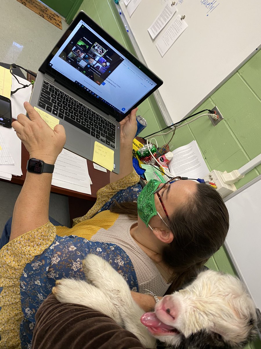 PineViewMiddle's tweet photo. Only @PineViewMiddle can our mySO students and staff share #joy of our newest โkidโ on campus born this am. #ffalife #goatlife #ag #lightupdecember @mhetzlernettles https://t.co/t2hcohDvwx