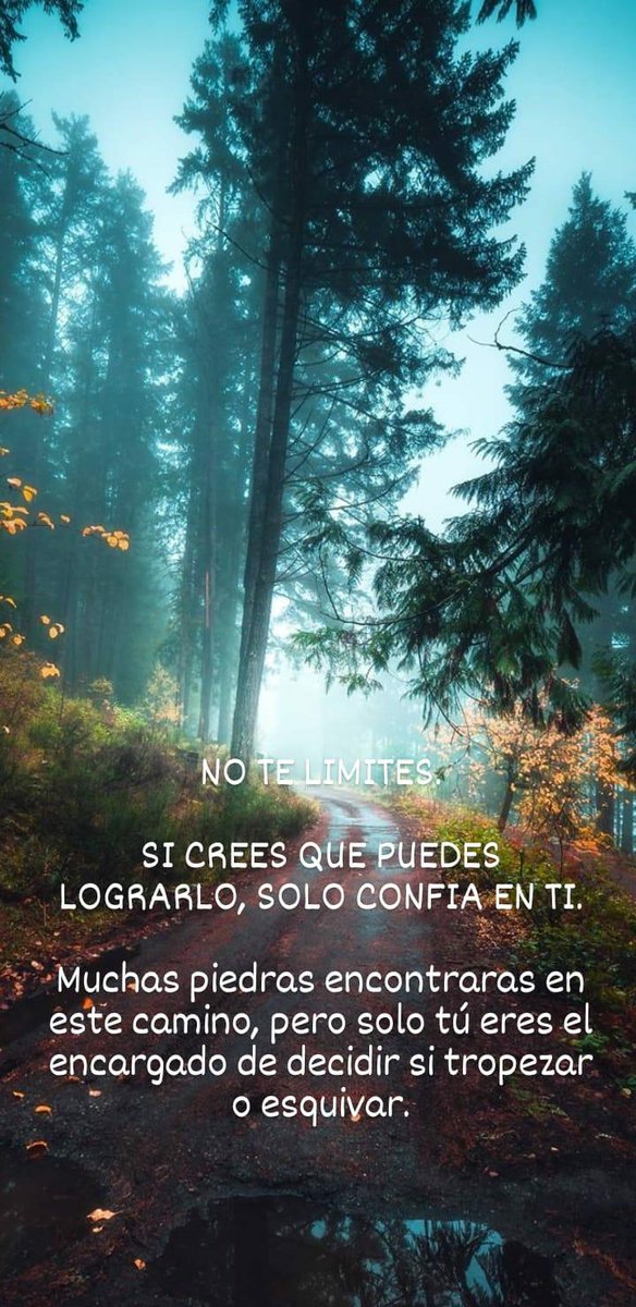 Gaboalejandr23's tweet photo. https://t.co/VLxrrGJNJh