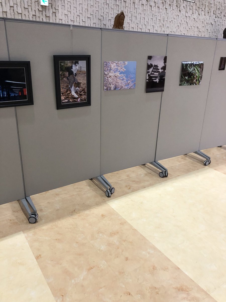 福島大学 写真部 図書館展やってます みんな見に来てね 福島大学 写真部