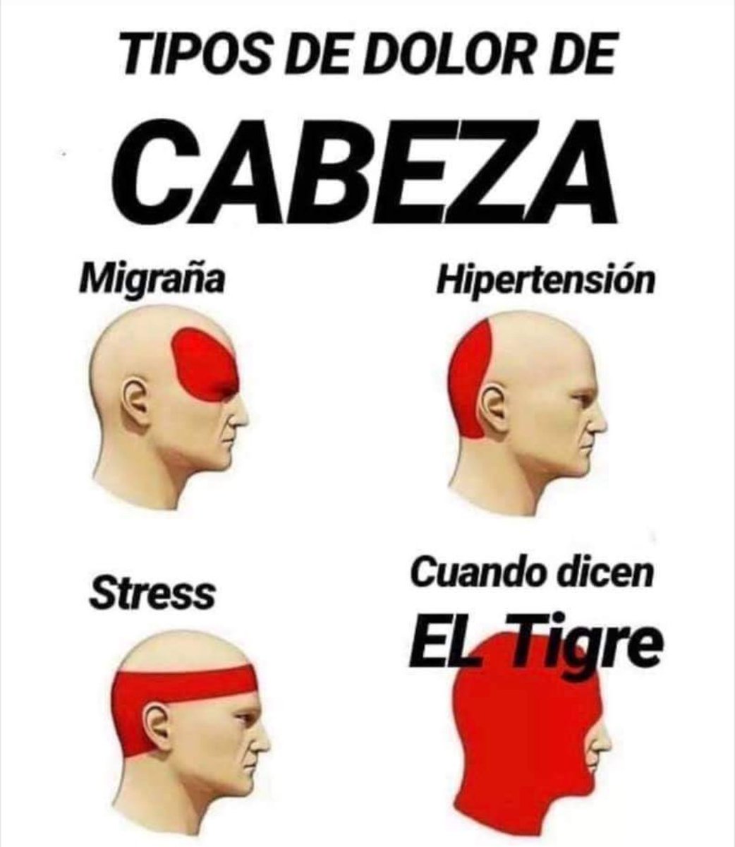Lima_Pato's tweet photo. Porfa no quiero escuchar más todas las mañana que digan " El Tigre". Nos hace daño a los s tigrenses nativos. Nosotros no decimos el Templerley o el Quilmes. @fedeseeber @todonoticias @NazaDiSerio @sergiolapegue https://t.co/cQRFpsfaec