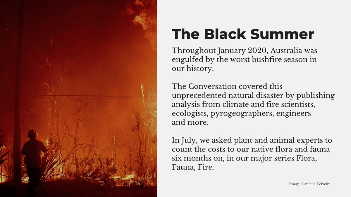 2020 began with one of the worst bushfire seasons in Aus history.Our  #Environment +  #Energy editors  @nicole_hasham +  @antheabatsakis worked with experts to clarify the science.Six months on, our  #FloraFaunaFire series surveyed the ecological damage:  https://theconversation.com/au/topics/bushfire-recovery-2020-87824