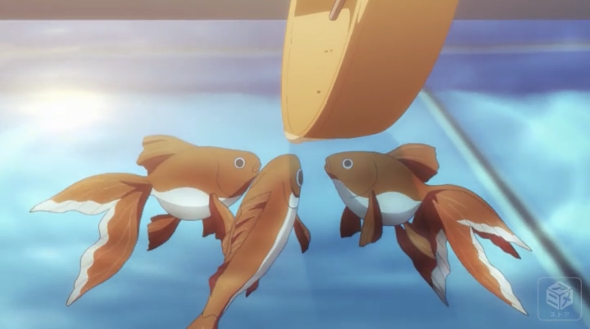 シャム郎 アニメ好き 金魚すくいのポイって薄い紙を貼ったやつじゃないの モナカの皮みたいなのですくうの 関東地方では当たり前なやつ 神様になった日