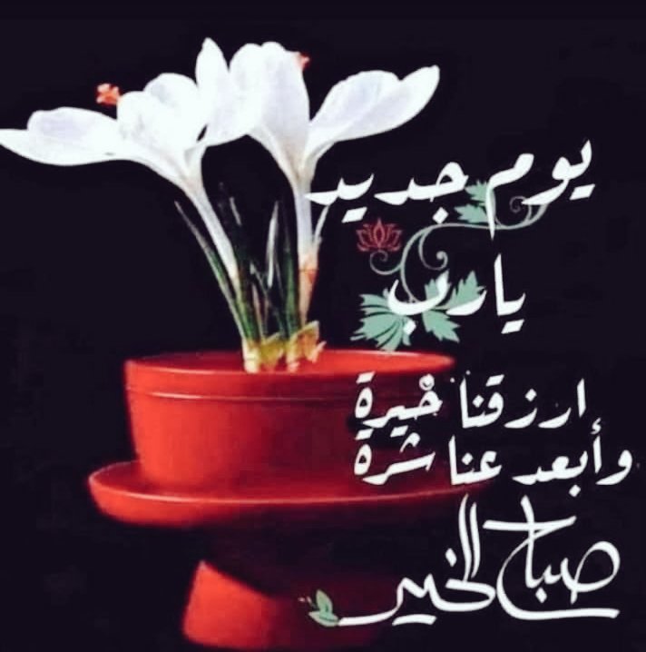KsaKiwi's tweet photo. يا مقسم الارزاق، 
اقسم لنا في هذا الصباح 
من توفيقگ ورضاگ وغناگ
وتيسيرگ لأمورنافإن لاحول لنا
ولا قوه إلا بگ https://t.co/drqkr5QOGU