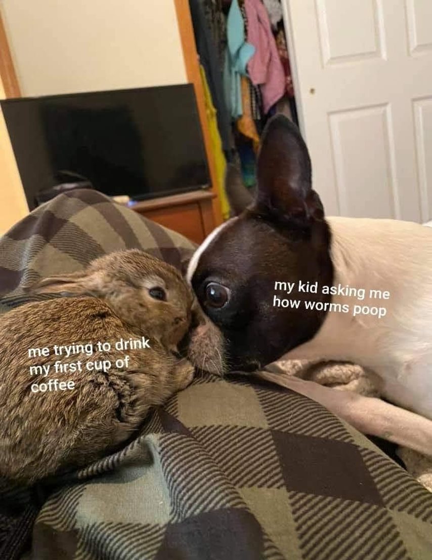 Help! We've Got Kids tweet media