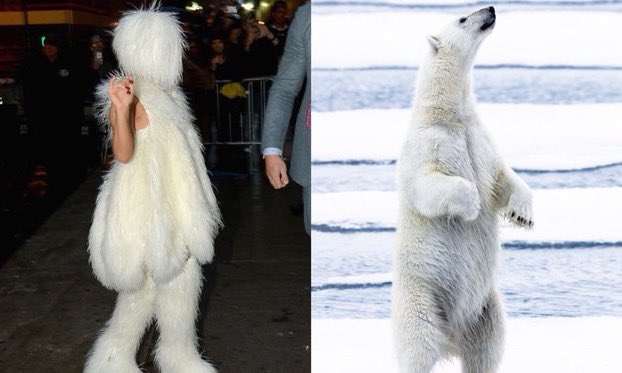 Here’s a thread of Lady Gaga resembling things. *don’t scroll past*