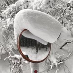まるで「特攻の拓」の武丸？!カーブミラーに積もった雪が“気合”入ってるリーゼント風に…⁉