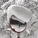 まるで「特攻の拓」の武丸？!カーブミラーに積もった雪が“気合”入ってるリーゼント風に…⁉