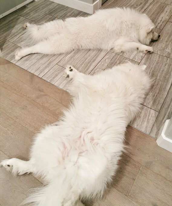 Watch Alinity's leaked NSFW photo on TwXstars