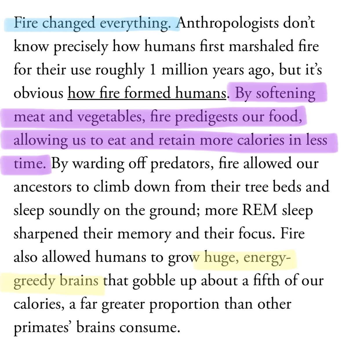 david_perell's tweet photo. This is a masterful summary of how the invention of fire propelled humanity https://t.co/yFnAvgahjx