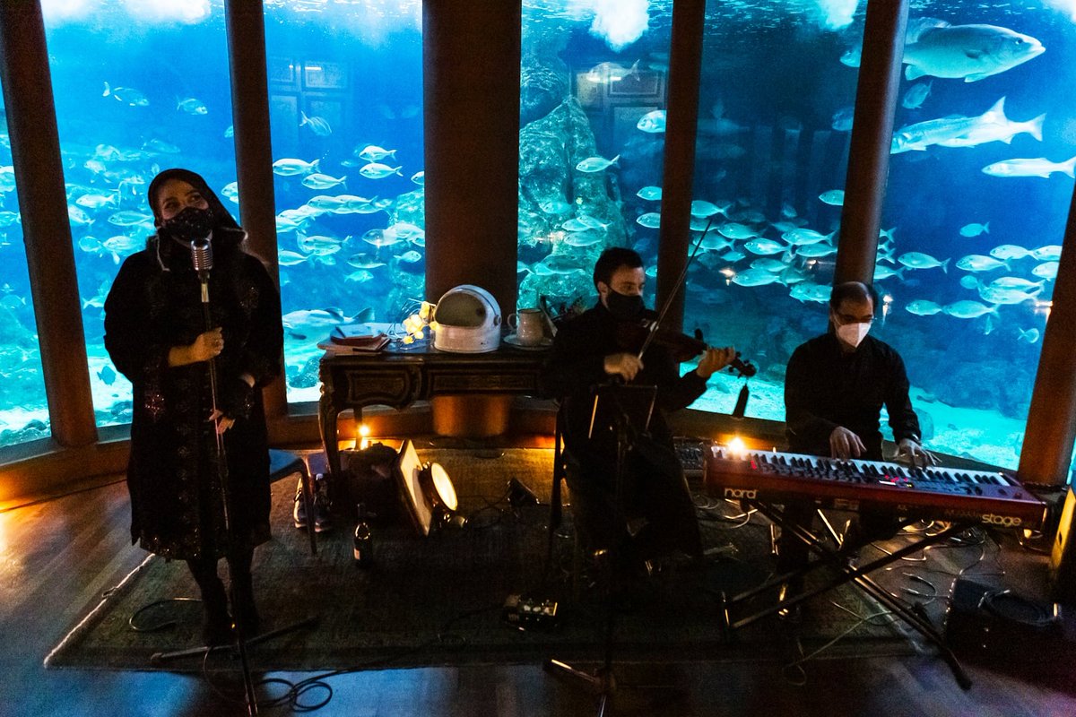 CuriosasnaLua's tweet photo. Recital na Sala Nautilus
Aquarium Finisterrae 
Estíbaliz Espinosa
Fernando Docampo
Juanma Varela
📷Sandra García Rey
@peque_esquimal
@mc2coruna

#dasqueestrelecen #curiosasnalúa #poesíaeciencia #poesíaearte #scienceandpoetry #estíbalizespinosa #fernandodocampo #juanmavarela https://t.co/52Gb7TGNZe