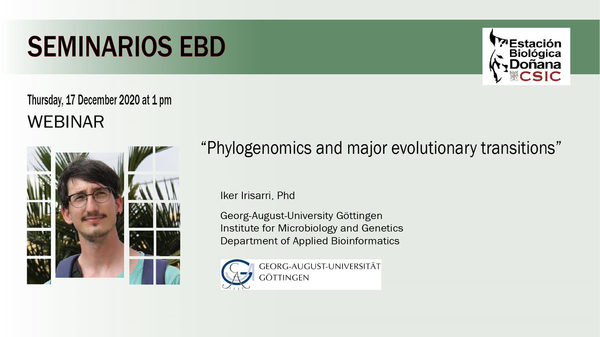 #EBDseminar THURSDAY 17 DEC 2020, 13:00, online youtube.com/watch?v=c1UdsR… "Phylogenomics and major evolutionary transitions", Iker Irisarri, Georg-August University (Göttingen) uni-goettingen.de/de/dr.+iker+ir…
