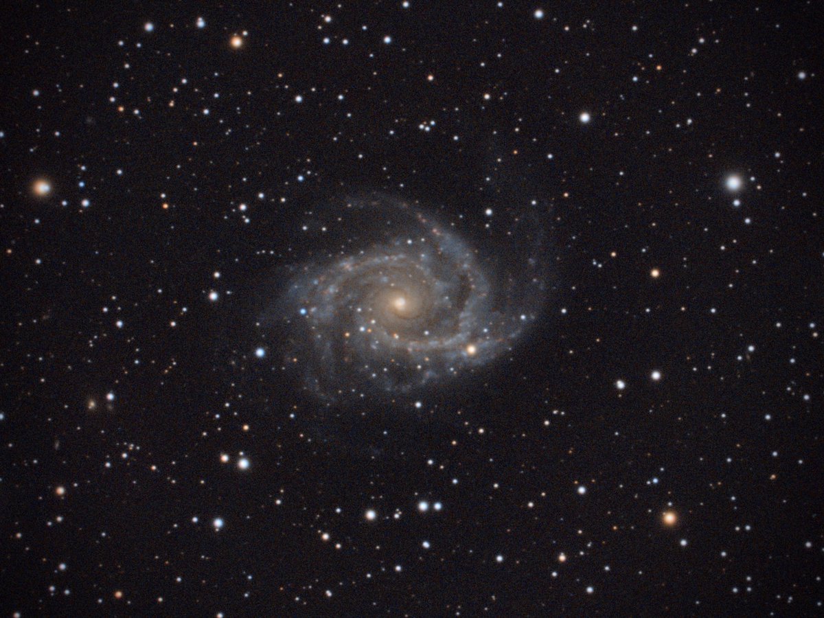 AstroCapetown's tweet photo. February - As the new school and academic year began, a health crisis in China was gathering pace. Nevertheless, everything started as it always had with commencement parties and sports days.... Meanwhile the Edge was hunting the beautiful spiral galaxy NGC 2997 #Astrophotography https://t.co/7qihIZxzvG