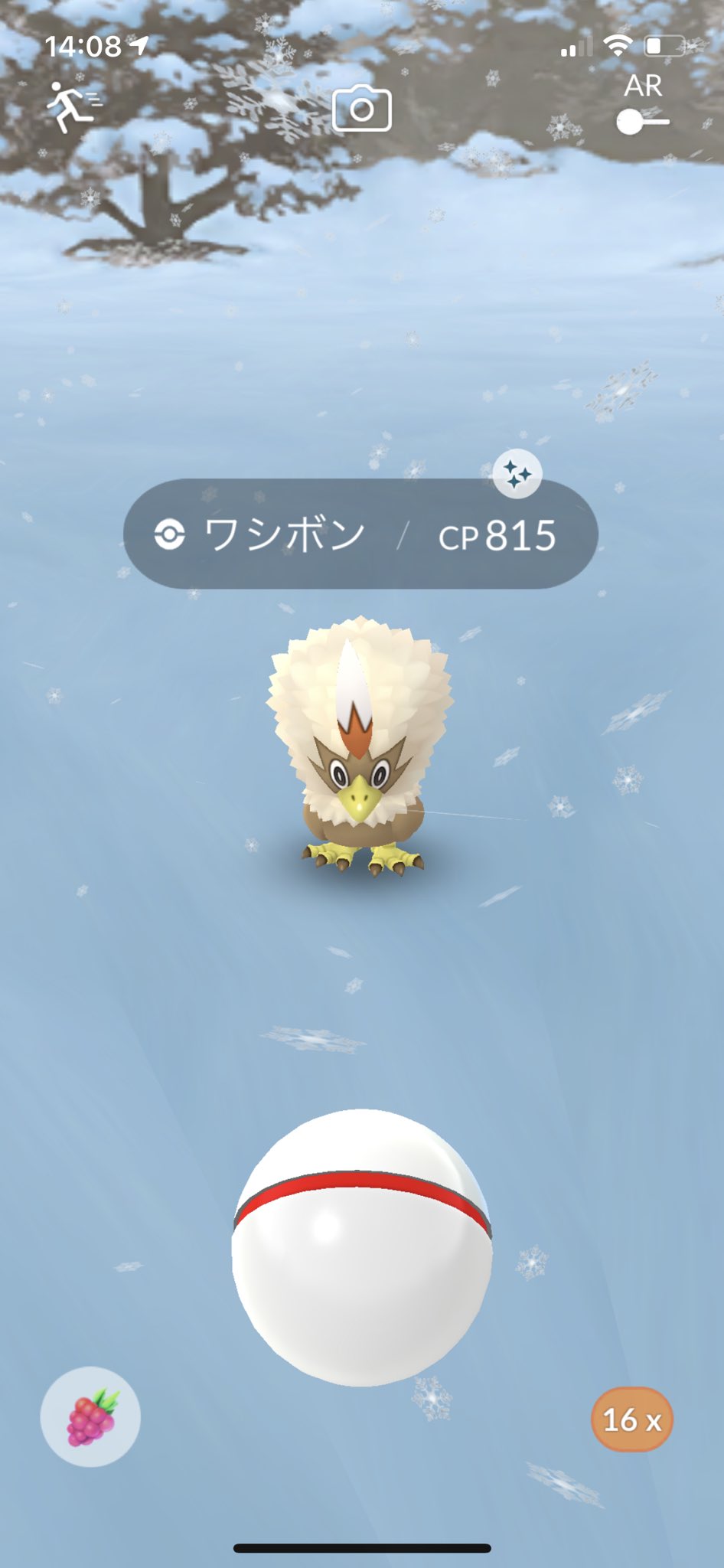 Shamo0811 ポケモンgo Chro Twitter