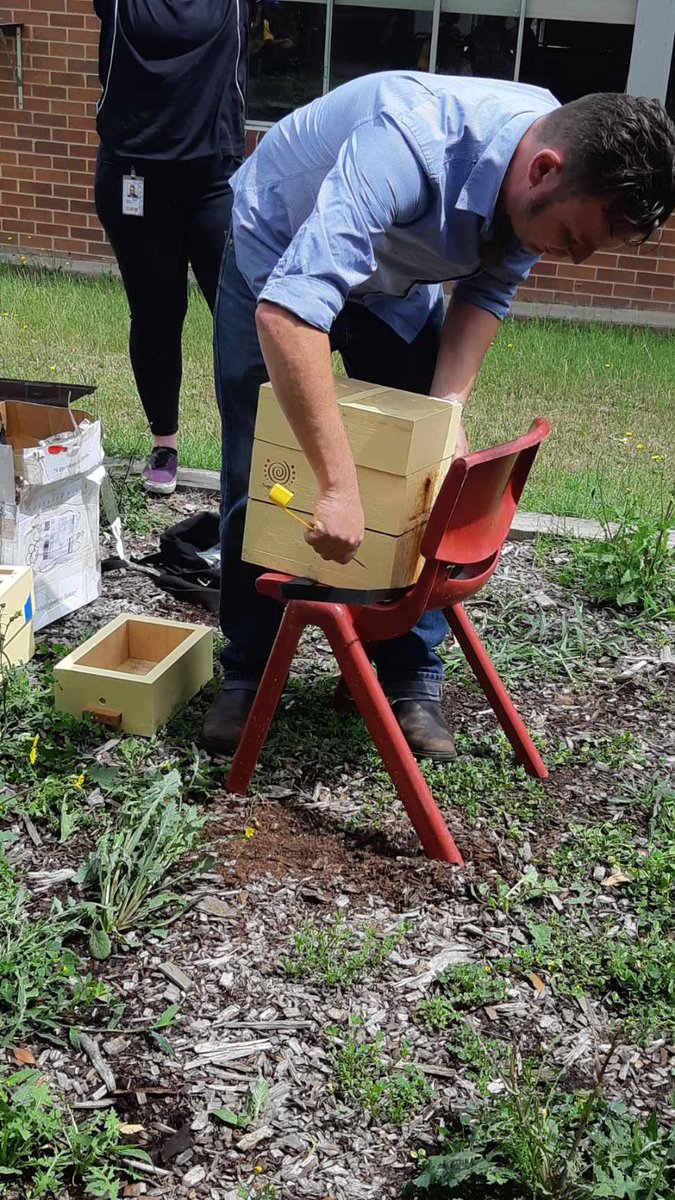 RachelIsaacs10's tweet photo. Today 2 Ivy went to see the beehive separation from @ourcbcity. Before we left they asked me if they could bring a whiteboard to “write down some features and interesting facts” and that they did! 🤩 feeling proud @McCallumsHillPS @nessazie https://t.co/VEqd3kEalQ