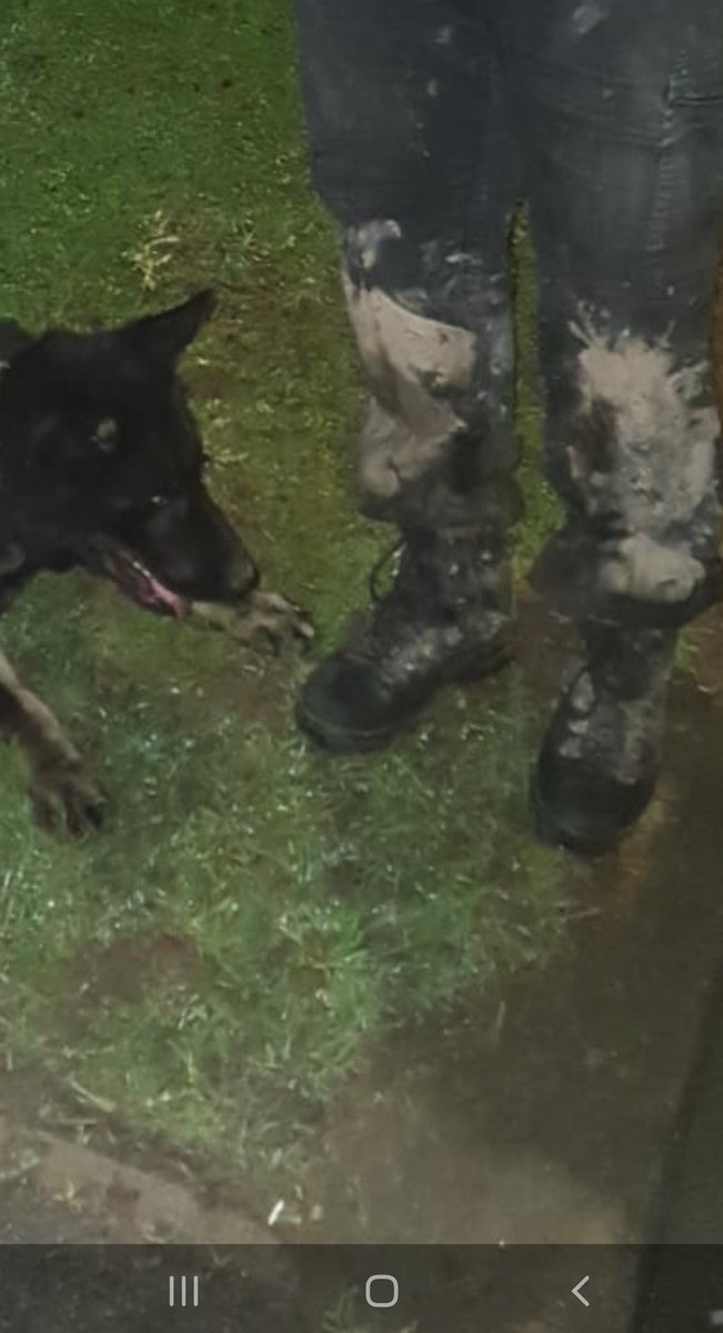 2310_mo's tweet photo. New pair of trousers, polished boots and a fresh smelling dog at the start of the shift.  😂 https://t.co/LHIHQ8HAnj
