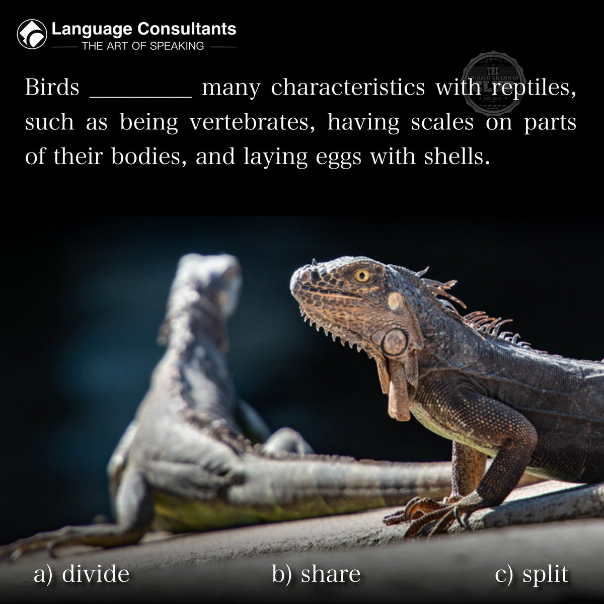 #english 🇬🇧 #englishlearning #learnenglish #languagelearning #englishonline #italianonline 
#birds #reptiles #birdsnest #birdsofafeatherflocktogether #earlybirds #nutsaboutbirds #wildlife #lizard #nature