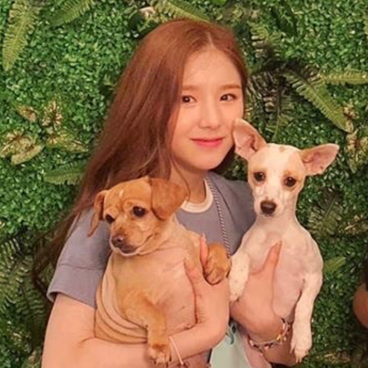 ؘ (@jhjnlooks) on Twitter photo 