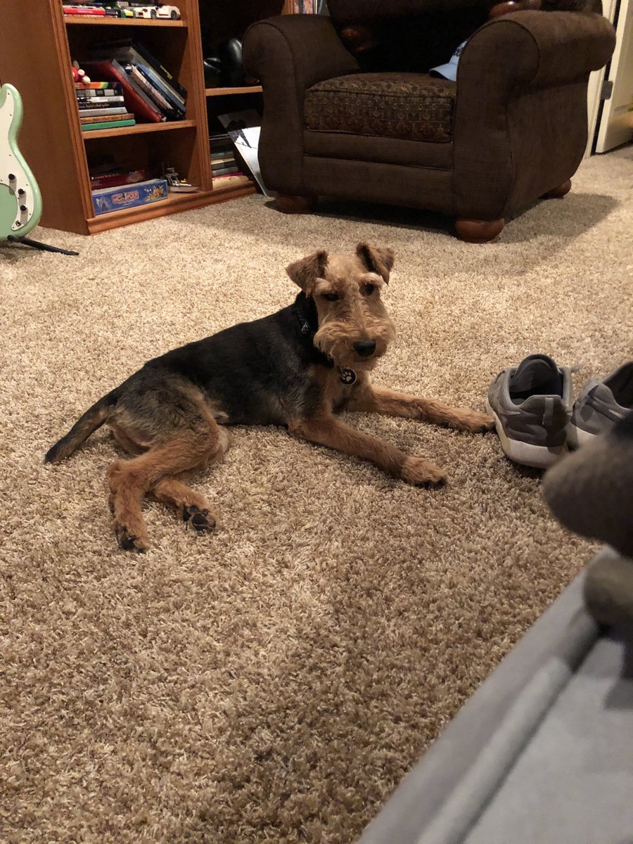 WillHolt32's tweet photo. Had to say goodbye to a good friend tonight 💔 https://t.co/WlL30FDDmi