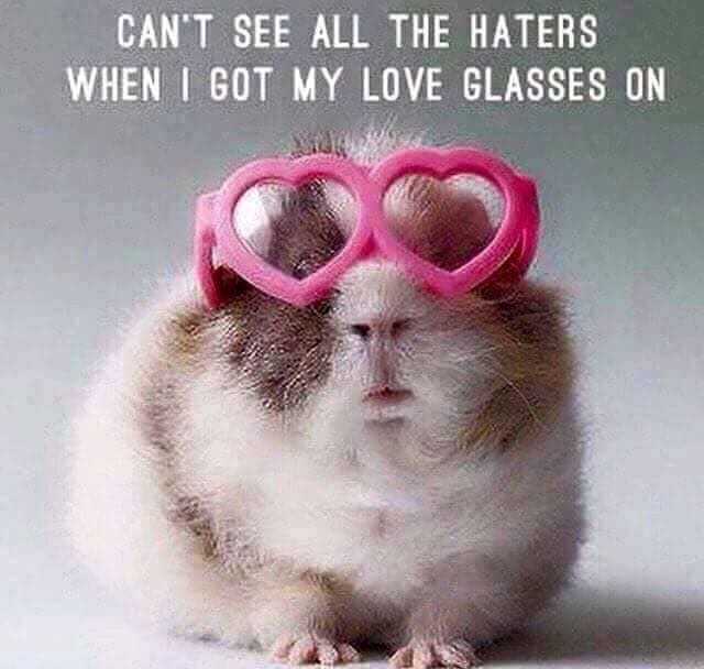 😷🇺🇸 Life is what you make it. Always has been, always will be. - Eleanor Roosevelt #quotes