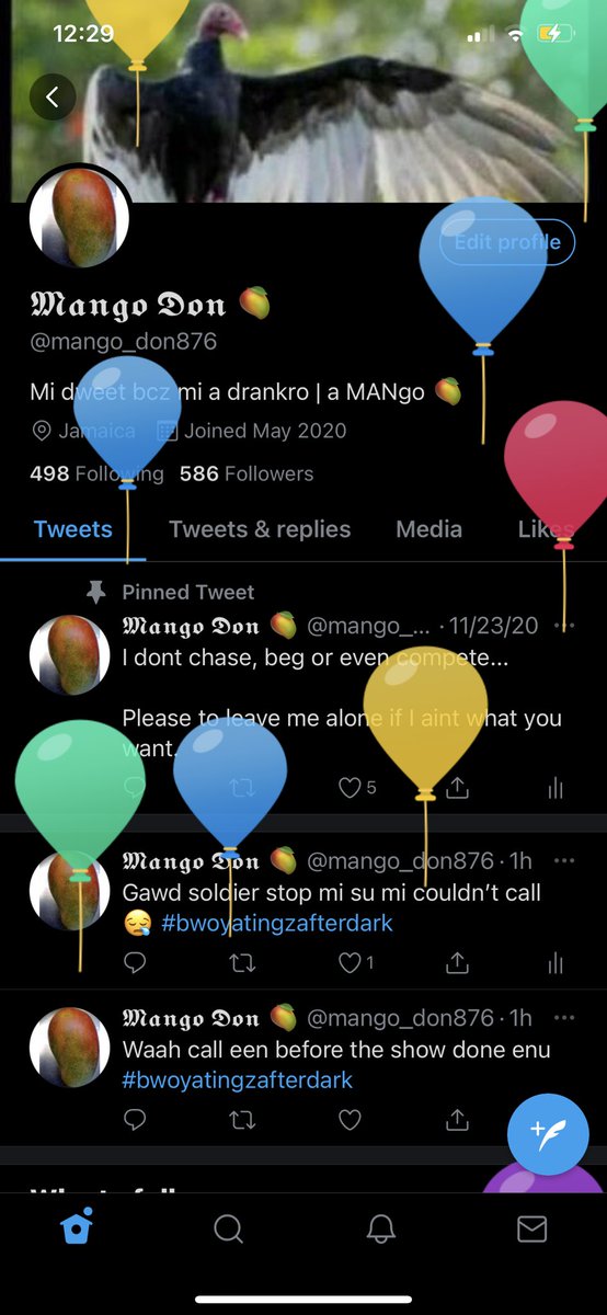 Bob Mango 🥭 tweet media
