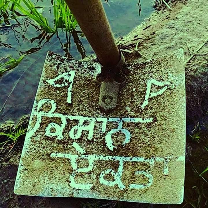 DimpleDhaliwall's tweet photo. #kissanektazindabad #Nofarmernofood https://t.co/5NlgXtgZ3J