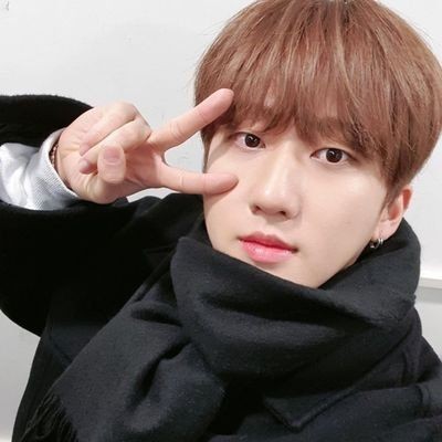 — seo changbin ; brown 