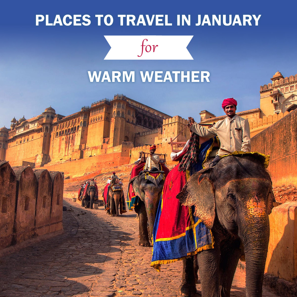 indianholiday's tweet image. Keep out the cold.
These warm places are gold.

Warm places here- bit.ly/warm-places

#warmwinter #warmjanuary #warmwinterdestinations #travel2021 #January #travel #traveller #Warm #warmplaces #placestotravel #TisTheSeason #ChillOut #ColdWeather #JanuaryisFun