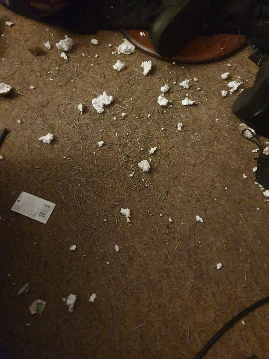 WoofBarkSpaniel's tweet photo. Frens! Splodins!!!
Da pretend squiggle went poof! Right unda ma nose, cud haf been propawly injuried! #sploded #conspawracy https://t.co/AHNYR1t3JB