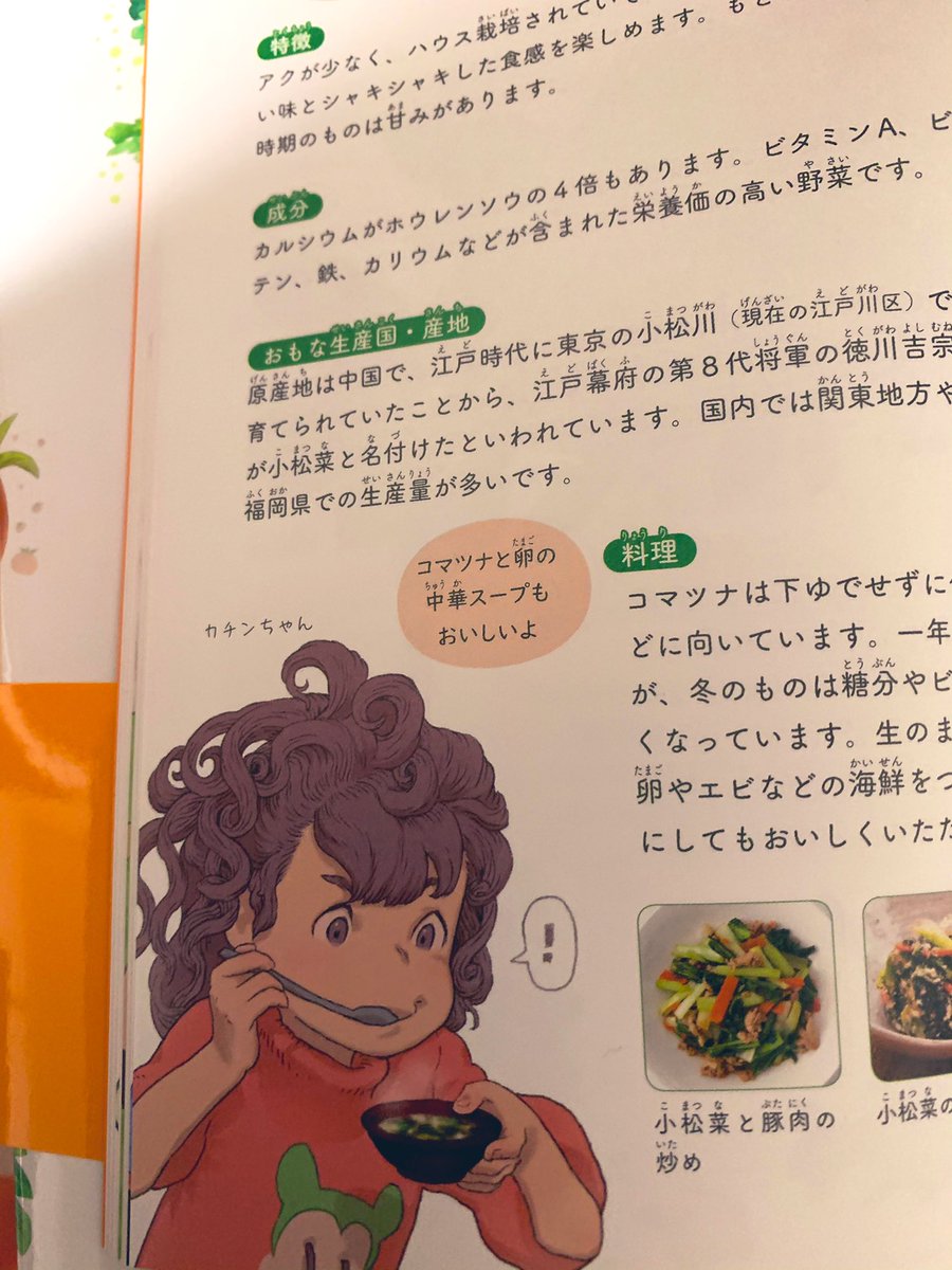 ぽん吉(@PonkichiM )さんの?お野菜妖精とまなぶ野菜の知識図鑑?にちょっとだけネタだし手伝いさせていただきました?私の小さい頃の写真を元にキャラを描いてもらってます!
本の情報はぽん吉さんのところから↑