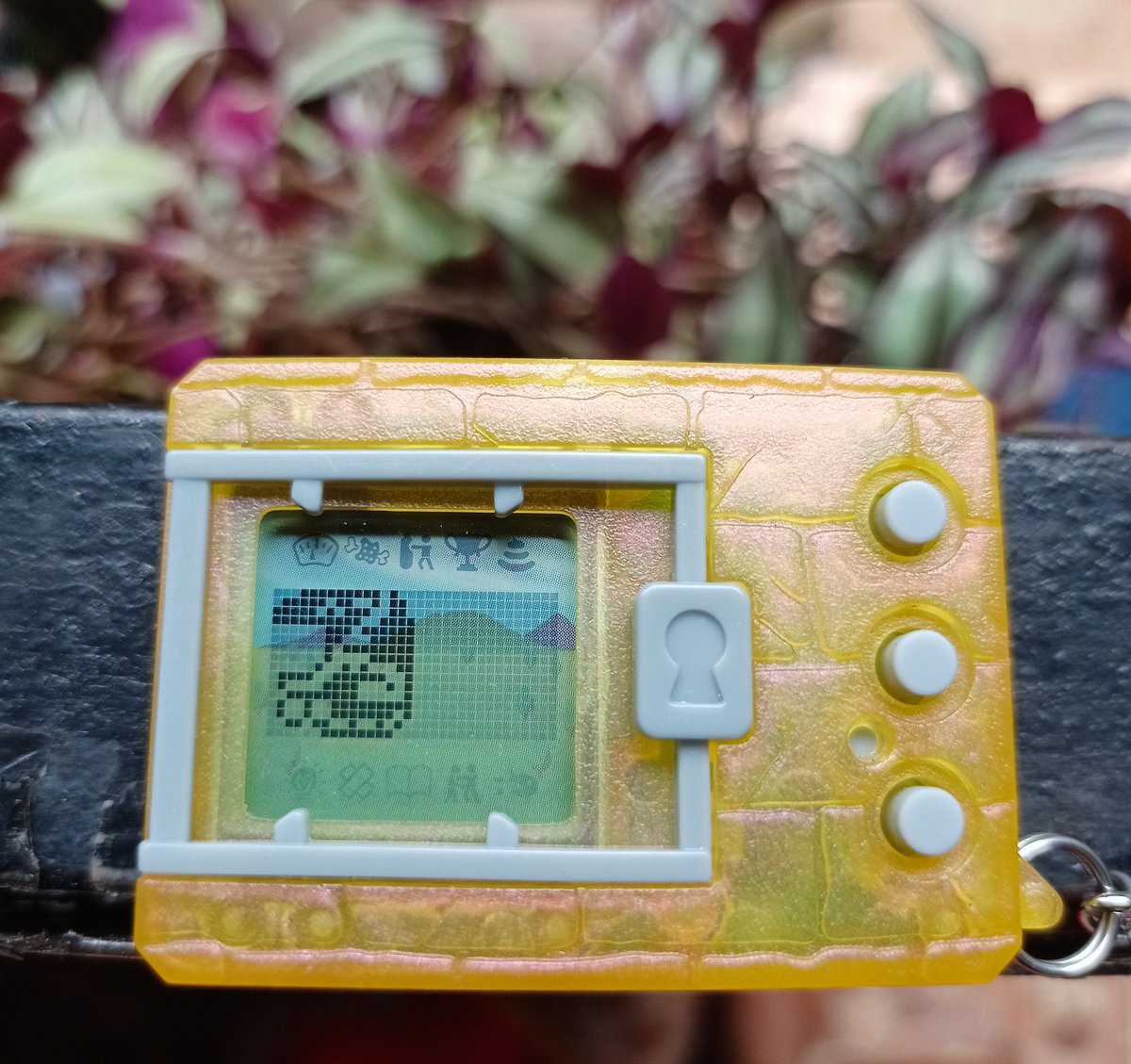 EkaCharisma's tweet photo. These megadramon and metaltyranomon are sick.. great sprites
#vpet
#dm20th
#digimon
#digihatch https://t.co/MC8k78rTSa