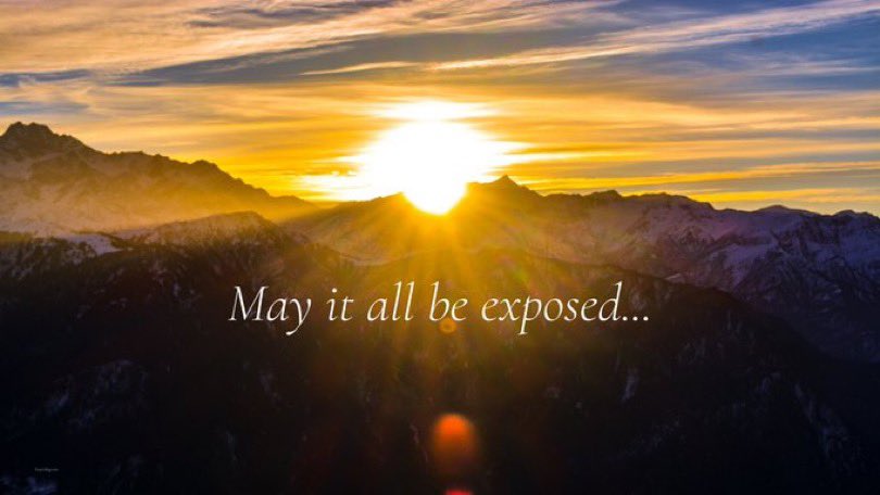 Lin Wood (@llinwood) on Twitter photo 