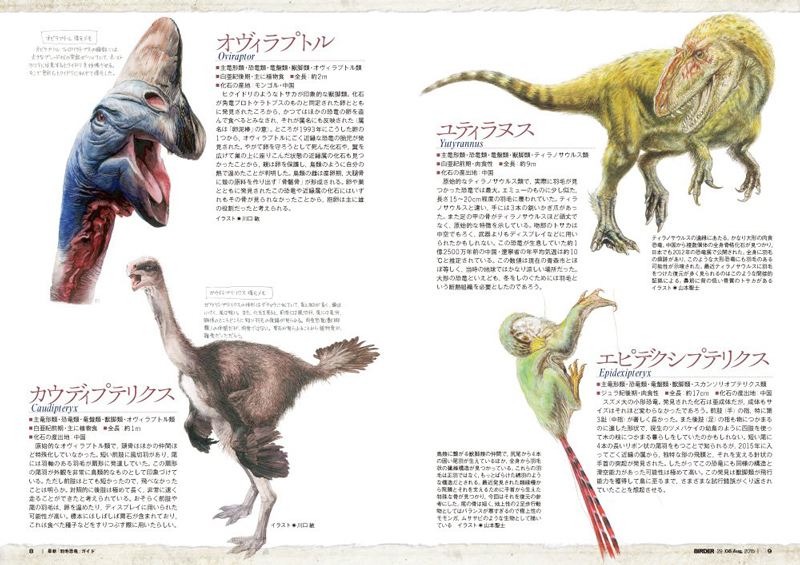 Birder野鳥 自然ニュース Birder Jp على تويتر 電子版好評発売中 Birder バーダー 15年8月号 最新 羽毛恐竜 ガイド 恐竜はどこまで鳥で 鳥はどこまで恐竜なのか 恐竜 羽毛恐竜 T Co 370klli0yl T Co Tlbtortba8