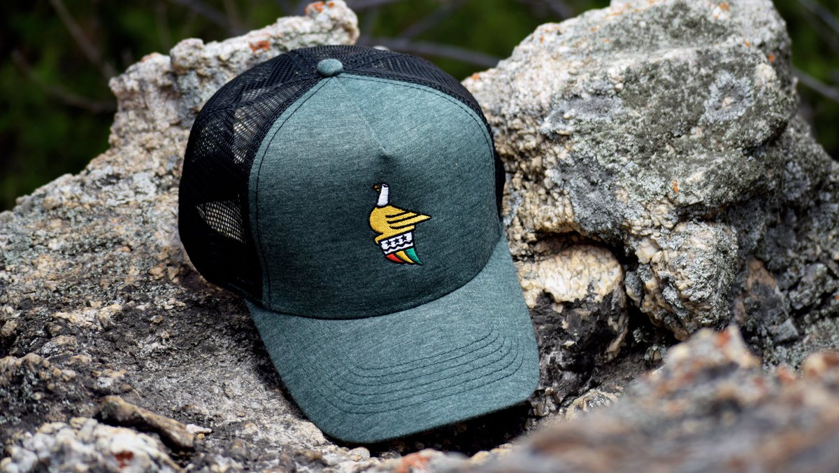 GreatZimbabweans tweet media