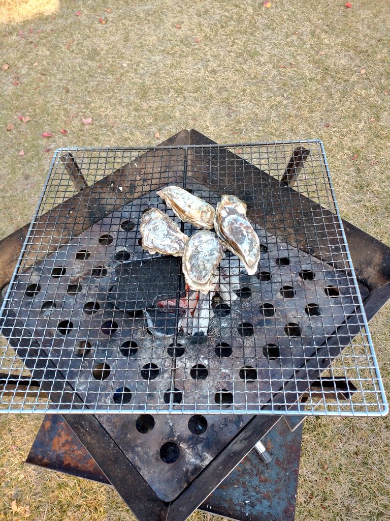 open_sesame2020's tweet photo. 赤穂で牡蠣キャン。
今月は貝毒で牡蠣漁が出来ないって事で、岡山の牡蠣をもちこんで。
来年、粒が大きくなった頃にリベンジだな��

#キャンプ飯 #キャンプ #牡蠣キャン
#牡蠣 #焼き牡蠣 https://t.co/Du92GiiIxg